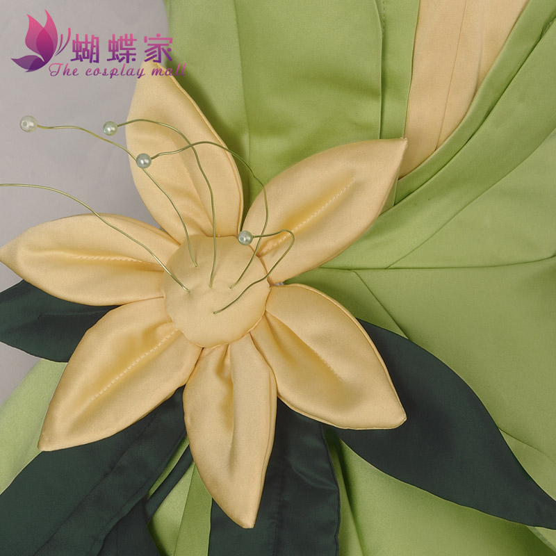 Prinses Tiana Jurk Cosplay Kos - Men'S Accessories Designer recensie en prijs